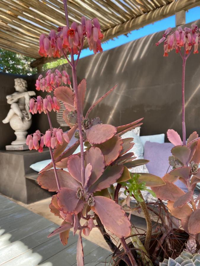 Gelukkie Hotel Paternoster Kültér fotó