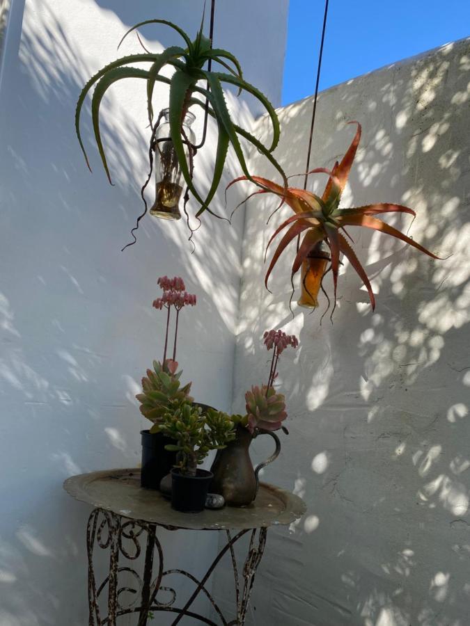 Gelukkie Hotel Paternoster Kültér fotó