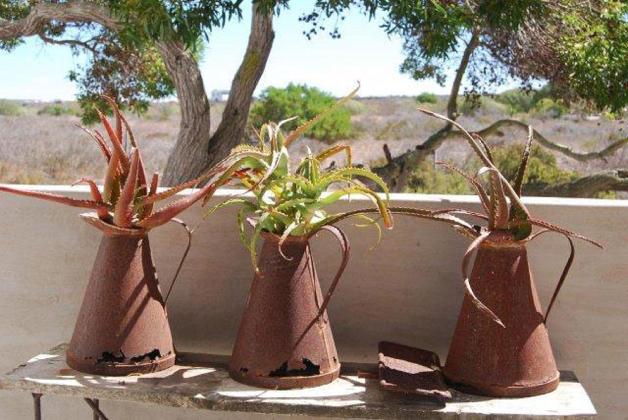 Gelukkie Hotel Paternoster Kültér fotó